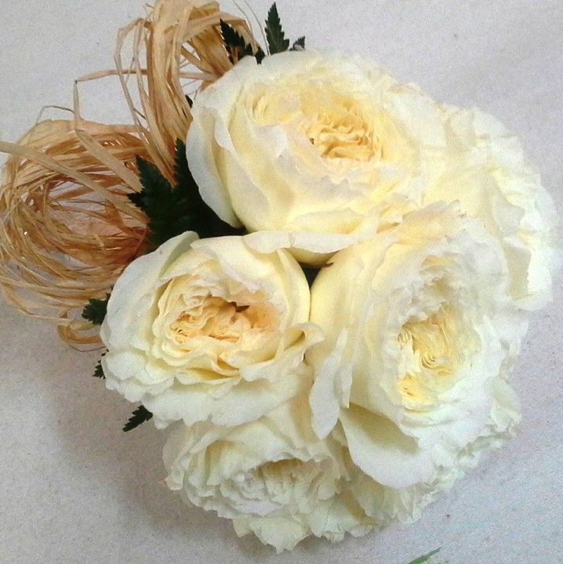 Ramo Novia Austin White