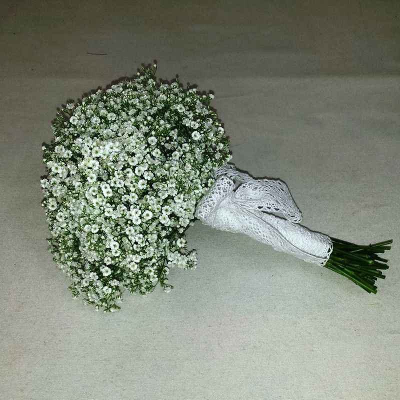 Ramo Paniculata Laura