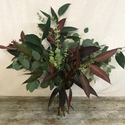 Ramos de Eucaliptus Mix