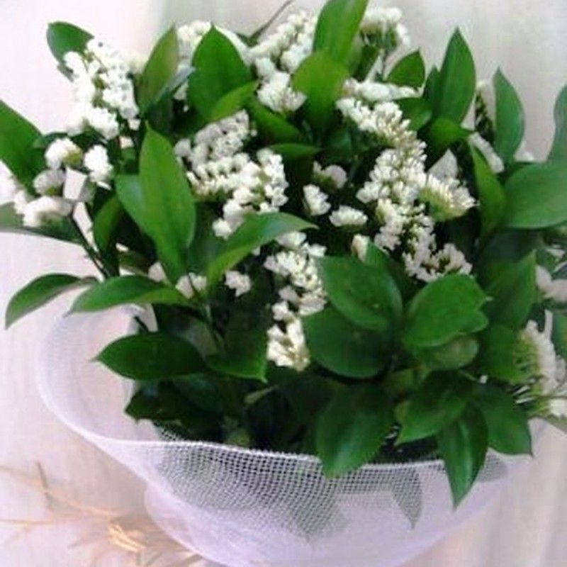 Ramos de Flor Perpetua