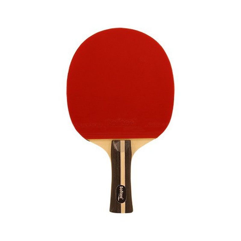 Raqueta para tenis de mesa p700