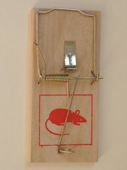 Ratoneras Tablilla Mediana R-3300