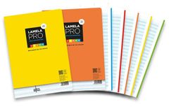 Recambio de papel Pro Lamela. 2 rayados
