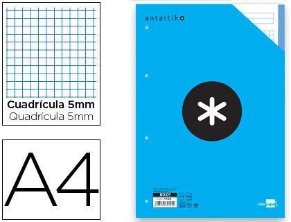 Recambio Liderpapel A4 100 Hojas 100G/M2 Cuadro 5 mm 4 Taladros Bandas de 5 Colores Antartik