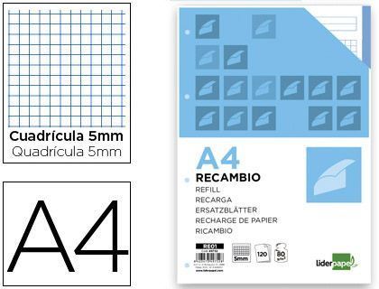 Recambio Liderpapel A4 120 Hojas 80G/M2 Cuadro 5Mm Sin Margen 4 Taladros Bandas de 5 Colores