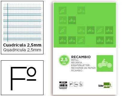 Recambio Liderpapel Folio Pautaguia 100 Hojas 80 G Cuadriculado Pautado 2,5 mm con Margen 4 Taladros