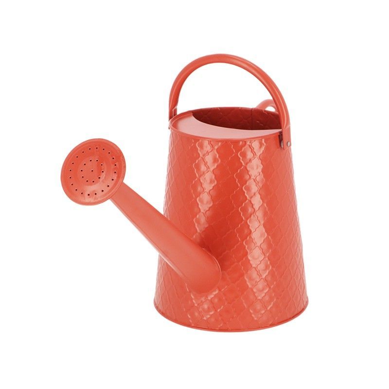 Regadera Desert Dream Terracota