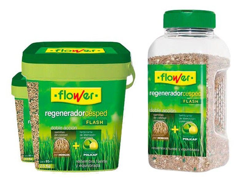 Regenerador césped abono + semillas