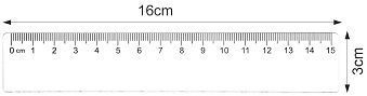 Regla plástico 311/15 cm.