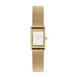 Reloj Daniel Wellington Bound Mini Evergold
