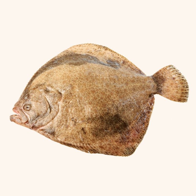 Rodaballo Salvaje (2kg aprox).