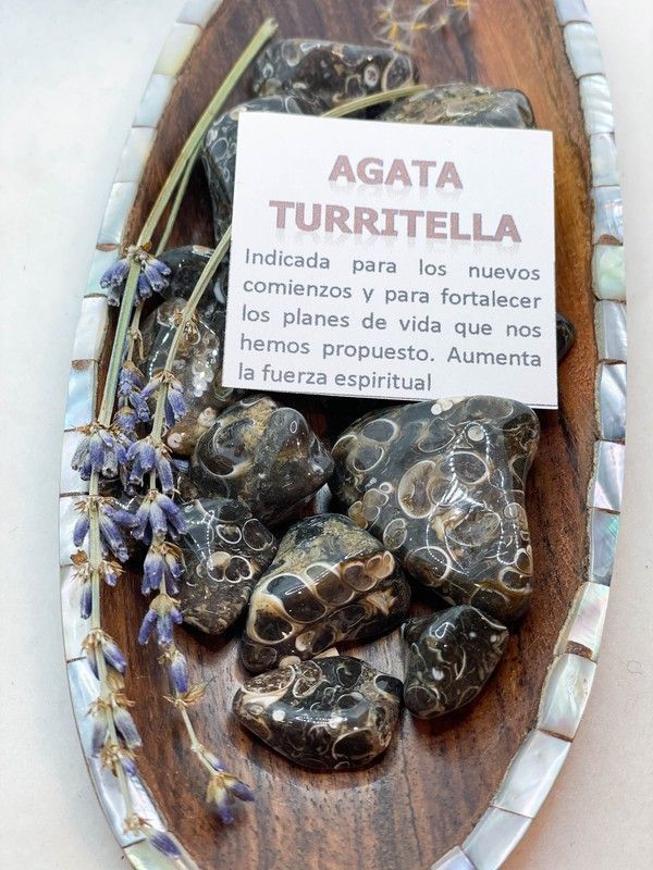 Rodado de Ágata Turritella