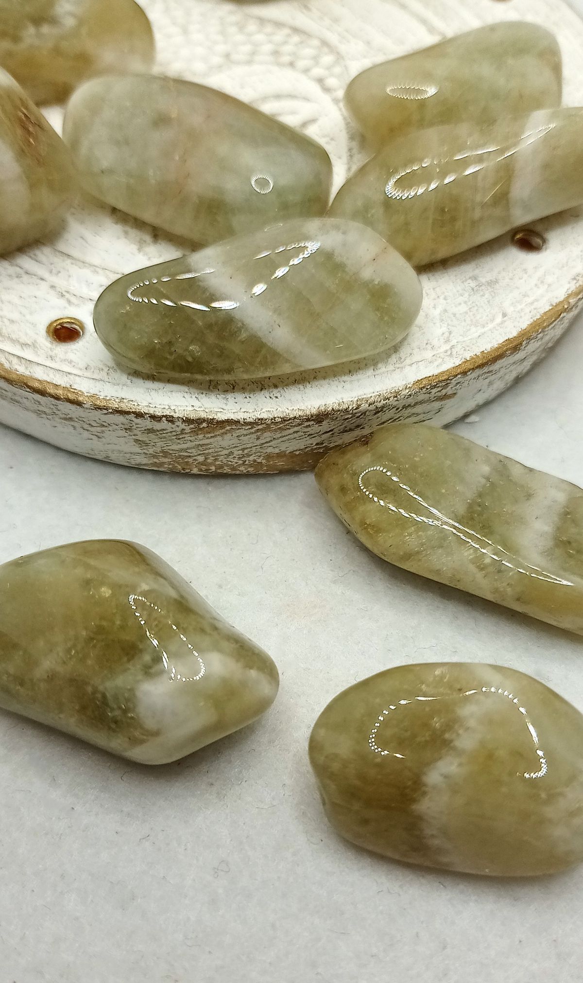 Rodado de Prasiotrino