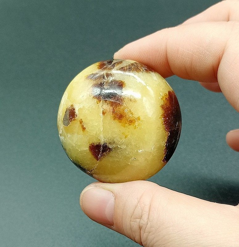 Rodado XL de Septaria - Ref.2