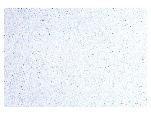 Rollo Adhesivo Aironfix Especial Ante Blanco 68175 -Rollo de 10 Mt