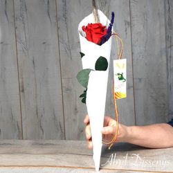 Rosa de Sant Jordi Envuelta en Pergamino