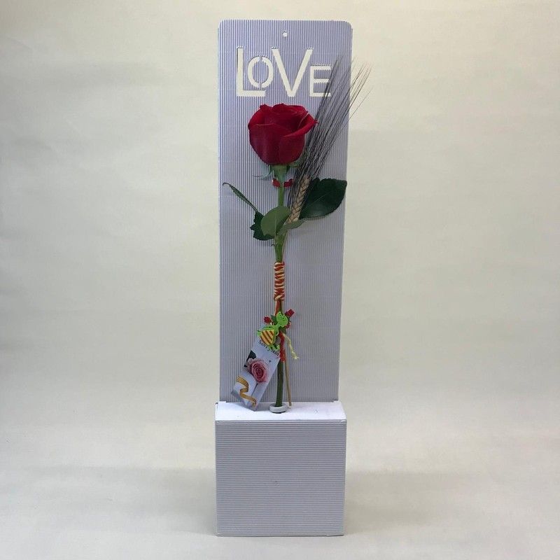 Rosa de Sant Jordi Love