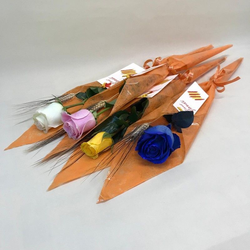 Rosa Sant Jordi Colores