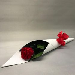 Rosas Preservadas 45/50cm