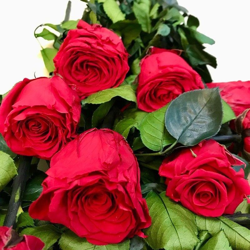 Rosas Preservadas a granel