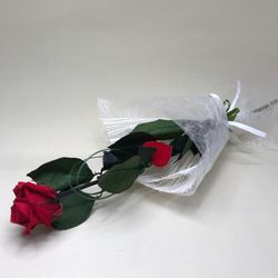 Rosas Preservadas Colores 45/50 cm