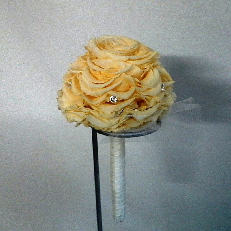 Rosmelia Champagne Preservada