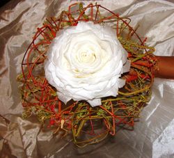 Rosmelia Juvenil Preservada