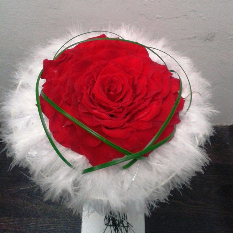 Rosmelia Preservada Roja Cristina