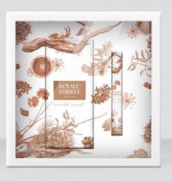 Royale Ambree Est Orienta(Col.100V+Mini)