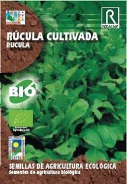 Rucula cultivada ECOLÃ“GICA 5G