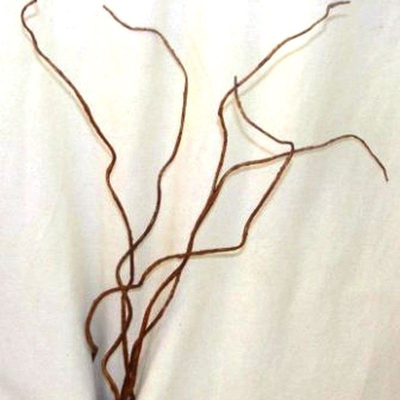 Sálix Artificial Caja 12 uds.