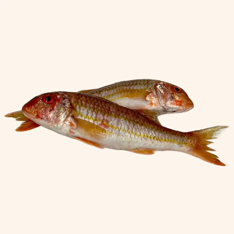 Salmonete G. 6/8 piezas en 1kg