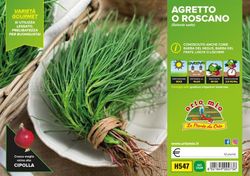 Salsola Soda 6 Plantas en Pack