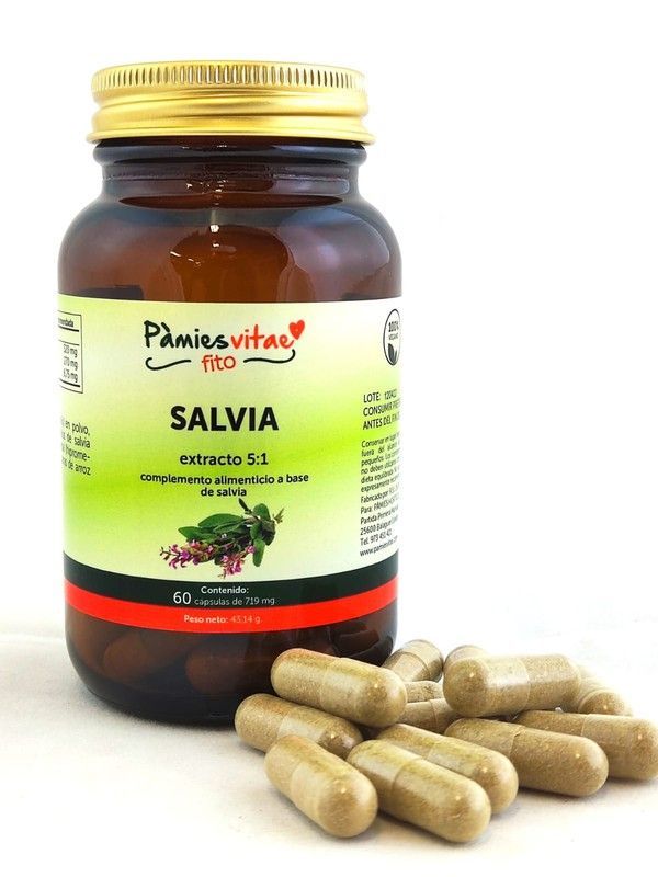 Salvia PV (60 cápsulas) Cápsulas