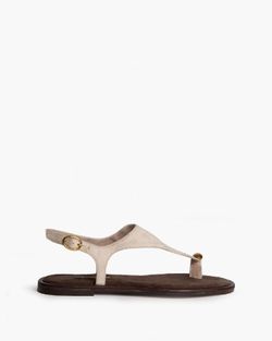 Sandalia Thong Minimalista con Hebilla Taupe marca Corina REF M6442