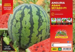 Sandía Asahi Myako 4 Plantas en Pack