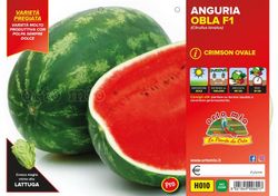 Sandía Crimson Sweet Obla 4 Plantas en Pack