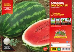 Sandía Striata Larga Daytona 4 Plantas en Pack