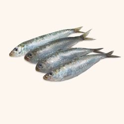 Sardina entera sin limpiar (1kg)