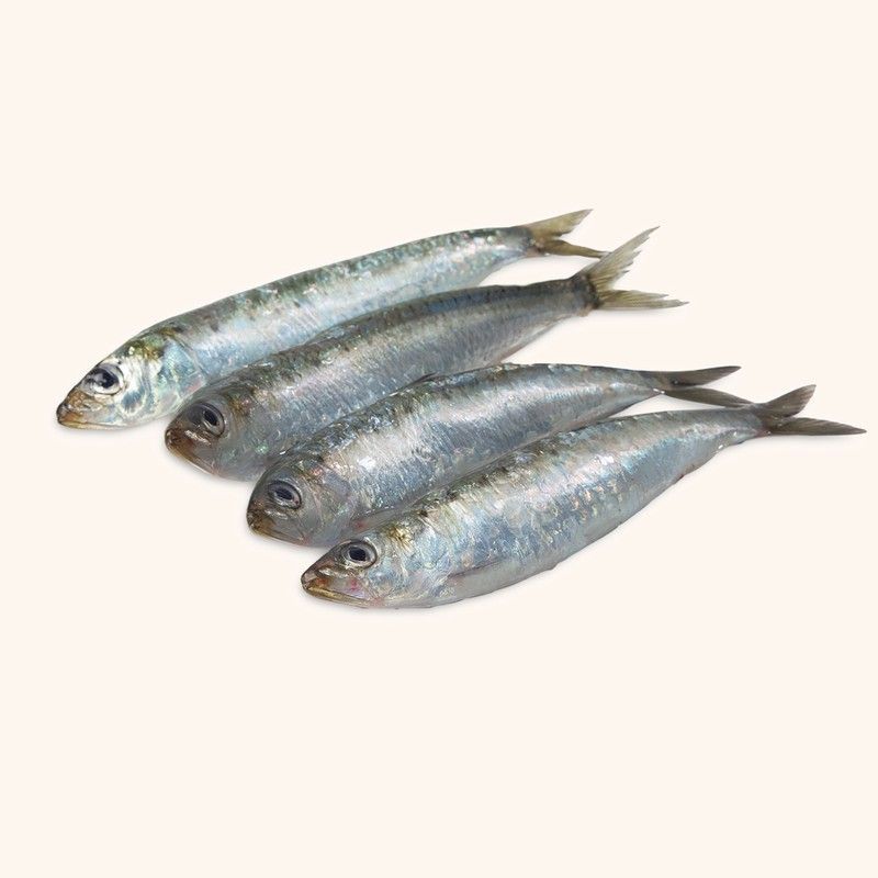 Sardina entera sin tripa. 1kg. 14/16 unidades.