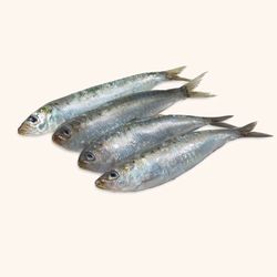 Sardina entera sin tripa. 1kg. 14/16 unidades.