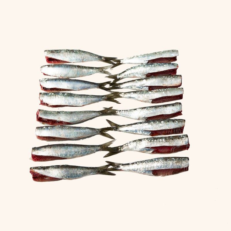 Sardina limpia sin cabeza y tripa (400).