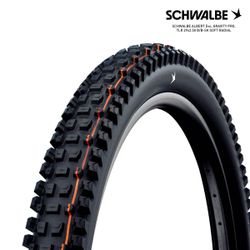 SCHWALBE ALBERT Evo, GRAVITY PRO, TLR 29x2.50 B/B-SK SOFT RADIAL