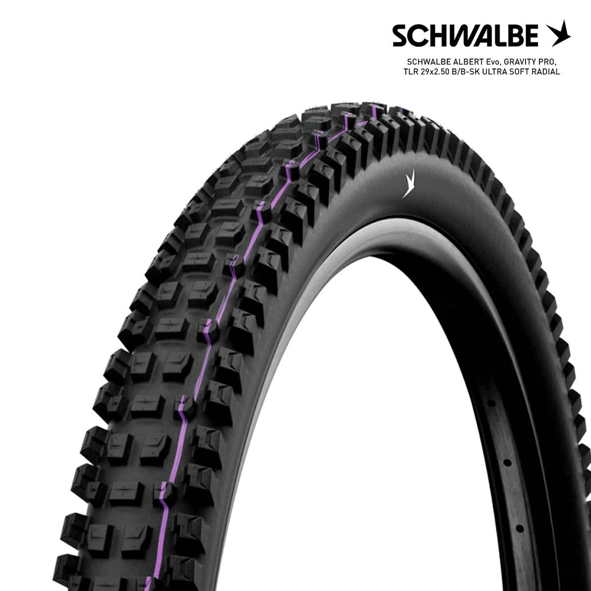 SCHWALBE ALBERT Evo, GRAVITY PRO, TLR 29x2.50 B/B-SK ULTRA SOFT RADIAL