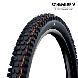 SCHWALBE ALBERT Evo, TRAIL PRO, TLR 27.5x2.50 B/B-SK SOFT RADIAL