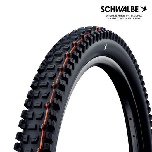 SCHWALBE ALBERT Evo, TRAIL PRO, TLR 29x2.50 B/B-SK SOFT RADIAL