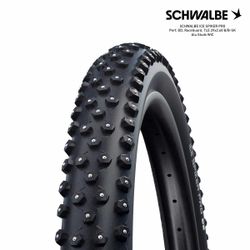 SCHWALBE ICE SPIKER PRO Perf, DD, RaceGuard, TLE 29x2.60 B/B-SK Alu Studs WiC