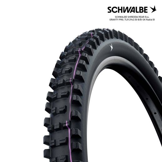SCHWALBE SHREDDA REAR Evo, GRAVITY PRO, TLR 29x2.50 B/B-SK Radial B