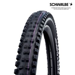 SCHWALBE TACKY CHAN Evo, Super Gravity, TLE 29x2.40 B/B-SK ADDIX Soft