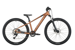 Scott Roxter 600 (2026)